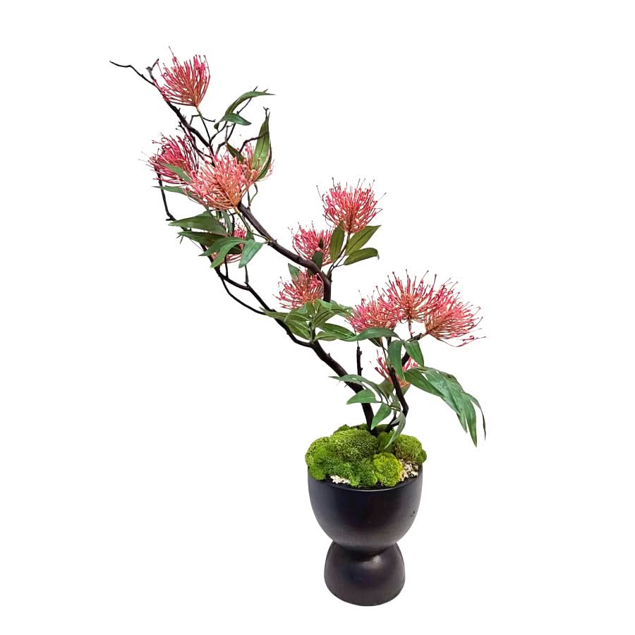 Protea onto Natural Manzanita with Mixed Mosses in Ceramic 37"H - LDF Silk