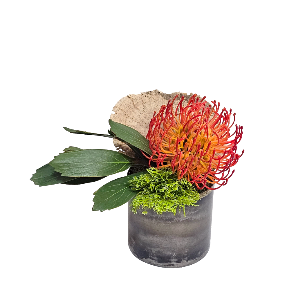 protea plant in pot Protea, Sponge Mushroom, and Moss Bush in Metal Pot. 6"H – LDF Silk