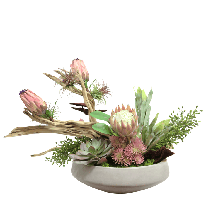 Protea, Tillandsia, Berry Stems and Dried Mushrooms on Ghostwood in Concrete Bowl 23"H - LDF Silk