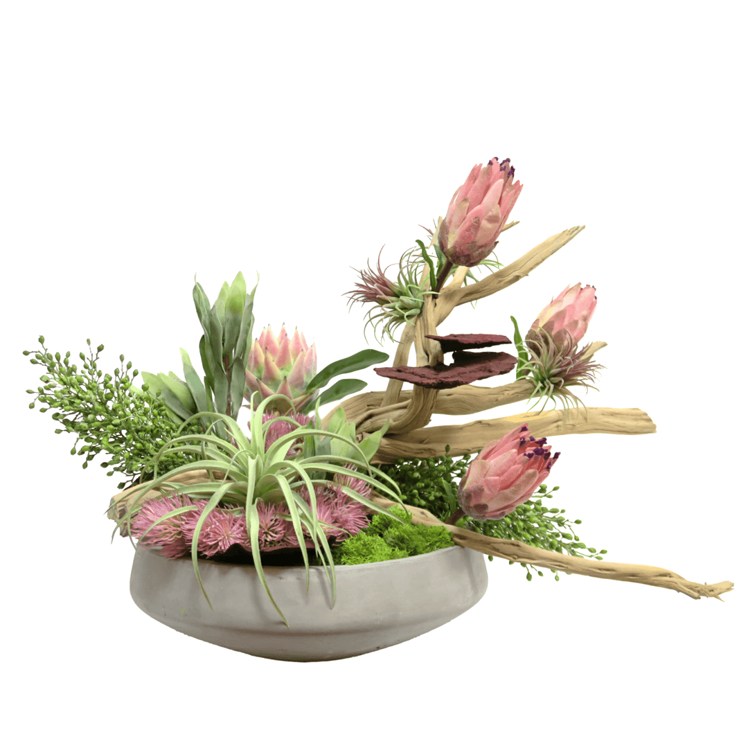 Protea, Tillandsia, Berry Stems and Dried Mushrooms on Ghostwood in Concrete Bowl 23"H - LDF Silk