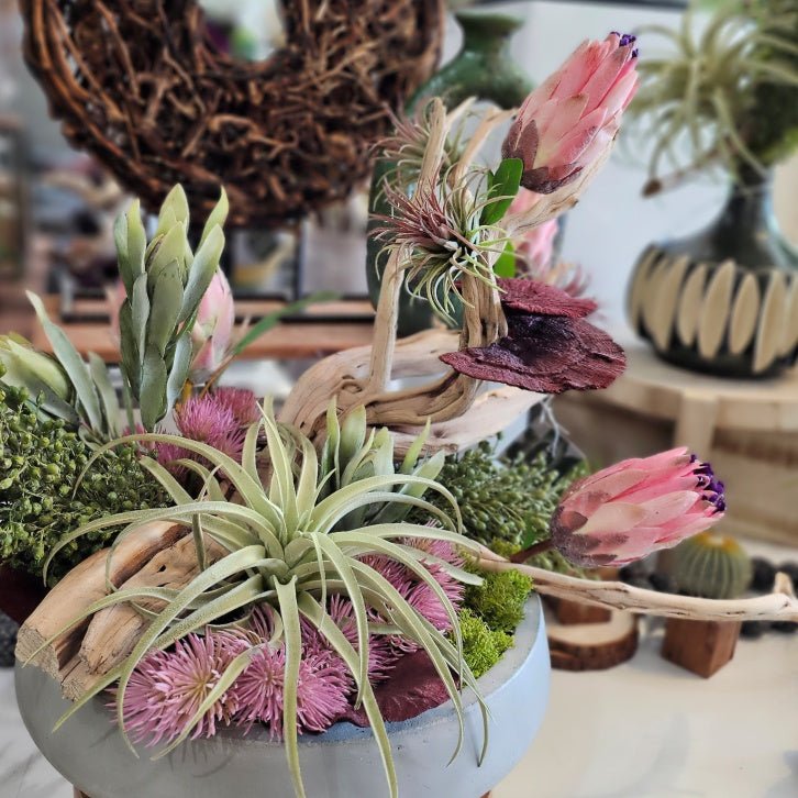 Protea, Tillandsia, Berry Stems and Dried Mushrooms on Ghostwood in Concrete Bowl 23"H - LDF Silk