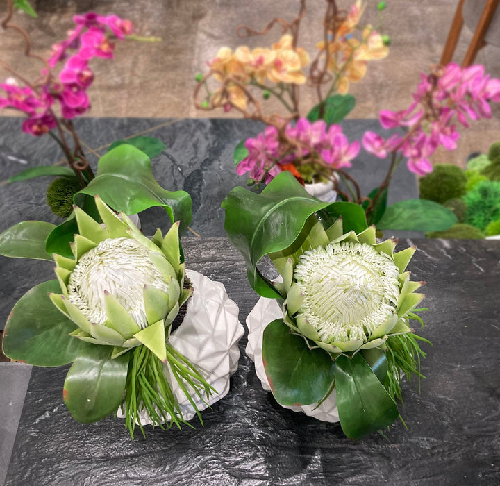 Protea with Tropical Leaf and Grass in Container FH:13" - LDF Silk