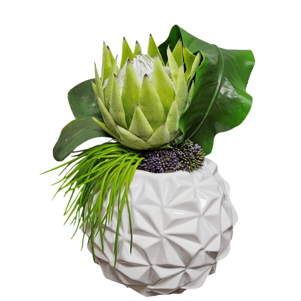 Protea with Tropical Leaf and Grass in Container FH:13" - LDF Silk