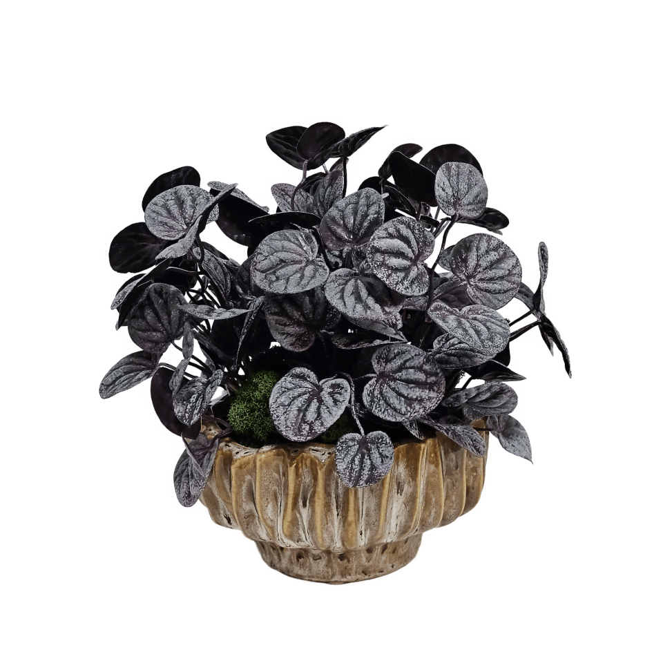 Purple Peperomia Bush Plant in Ribbed Ceramic Bowl - LDF Silk