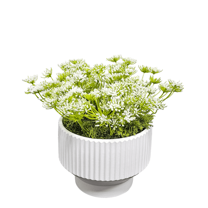 Queen Annes Lace in Linear Fluted Planter. FH:10" - LDF SilkArtificial Flora