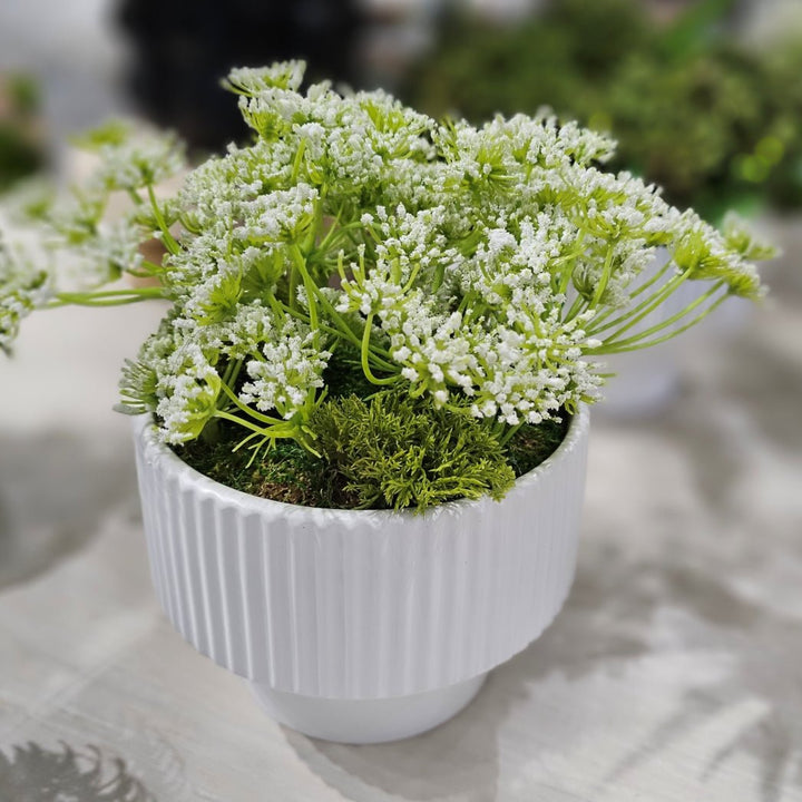 Queen Annes Lace in Linear Fluted Planter. FH:10" - LDF SilkArtificial Flora