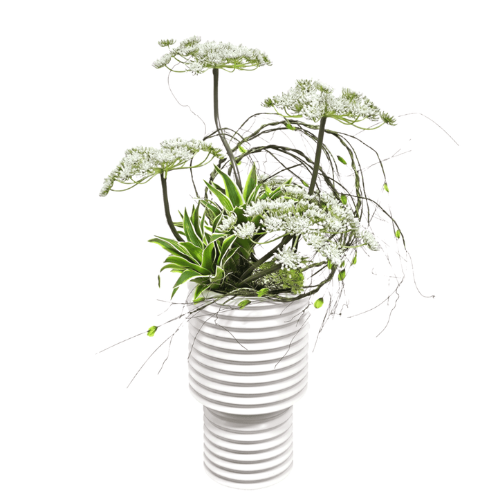 Queen Anne's Lace with Succulents and Vine in Ceramic Vase. FH: 25"H - LDF SilkArtificial Flora