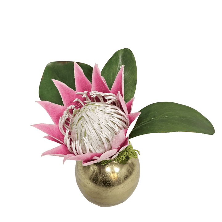 Queen Protea in Metal Vase 7"H - LDF Silk