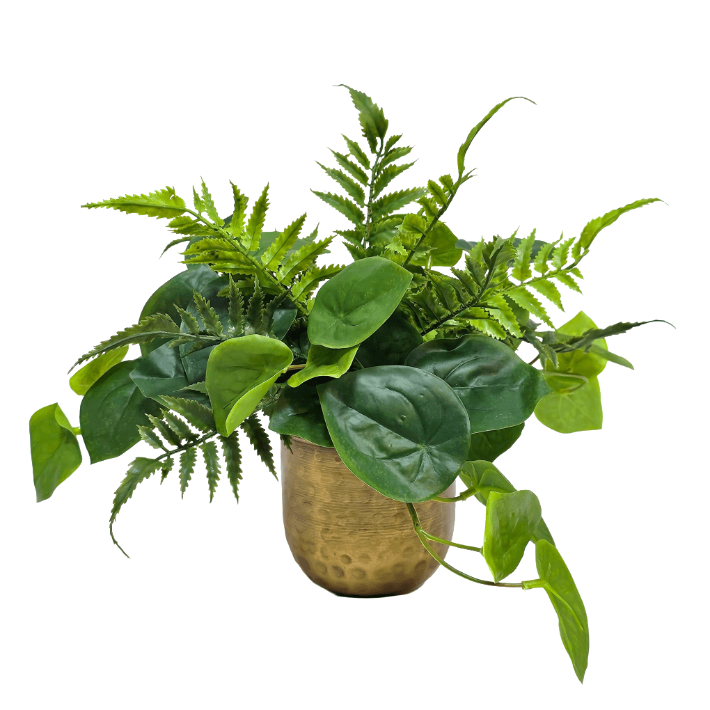 Real Touch Pepperomia with Fern in Hammered Metal 12"H - LDF Silk