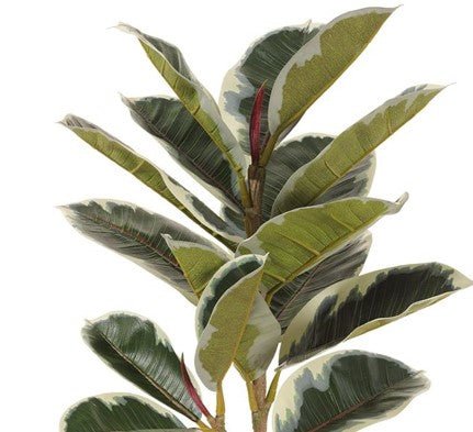 Rubber Leaf Tree w/Vines in Grow Pot 7.5'H - LDF Silk