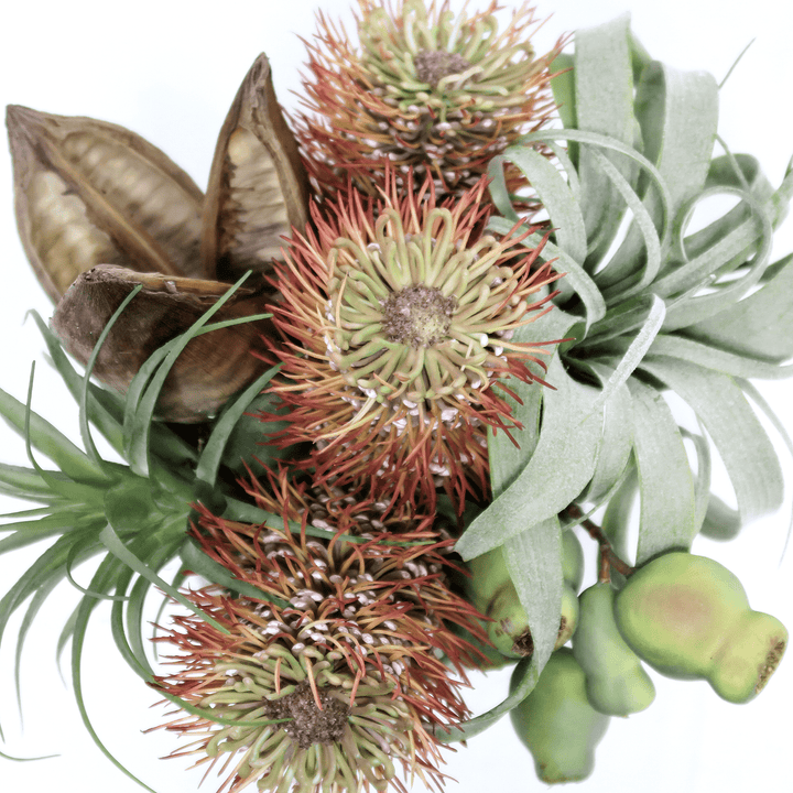 Rust Protea, Tillandsia, Sora Pod and Fruit Pods in Ceramic 10.5"H - LDF Silk
