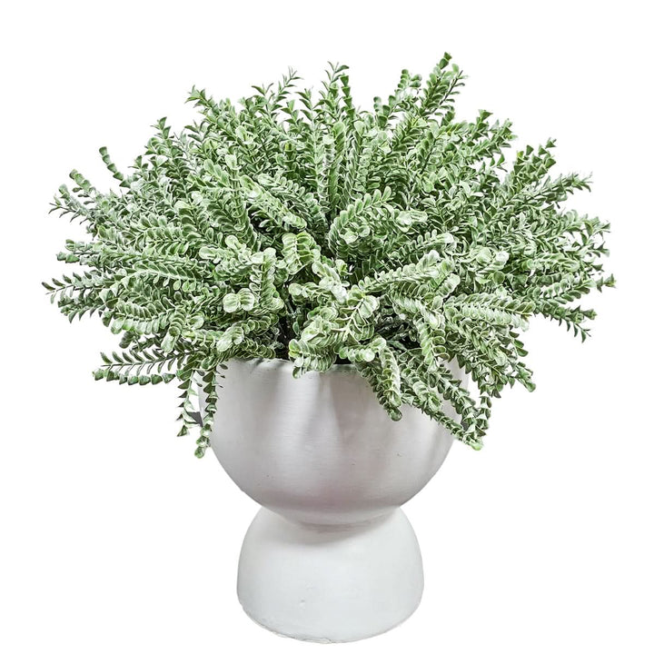 Sage Succulent in Round Matte Terra Cotta Container. FH:17.5" - LDF Silk