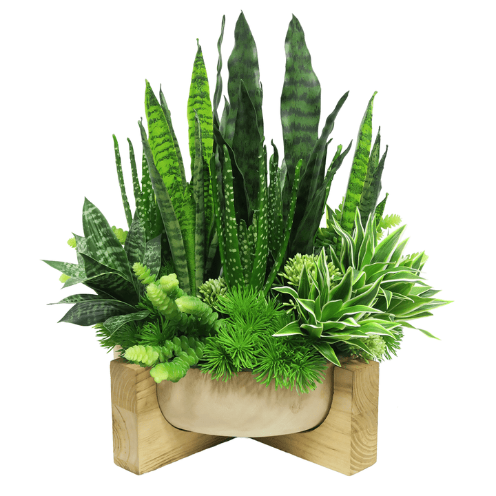 Sansevieria, Grass Bush, and Donkey Tail in Wooden Bowl with Stand. 22"H - LDF Silk