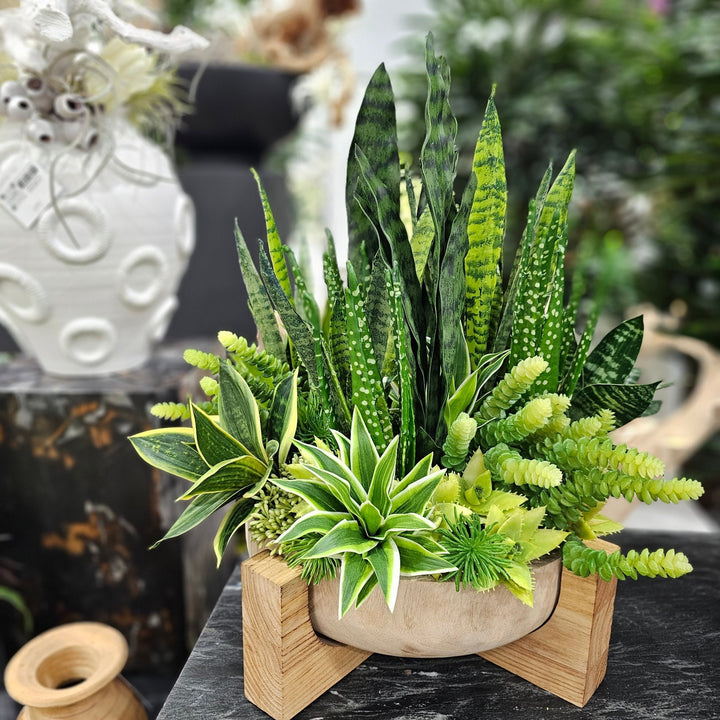 Sansevieria, Grass Bush, and Donkey Tail in Wooden Bowl with Stand. 22"H - LDF Silk