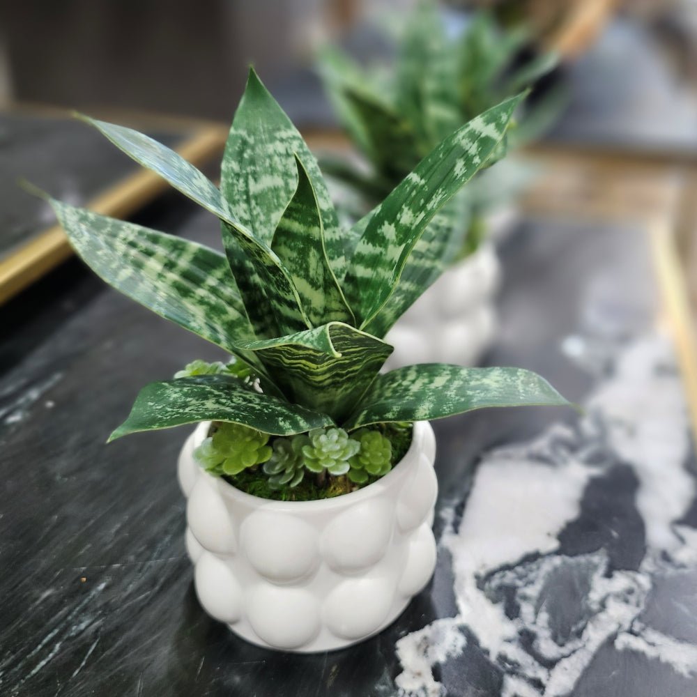 Sansevieria in Textured Ball Cylinder Vase. FH: 7" - LDF SilkArtificial Flora