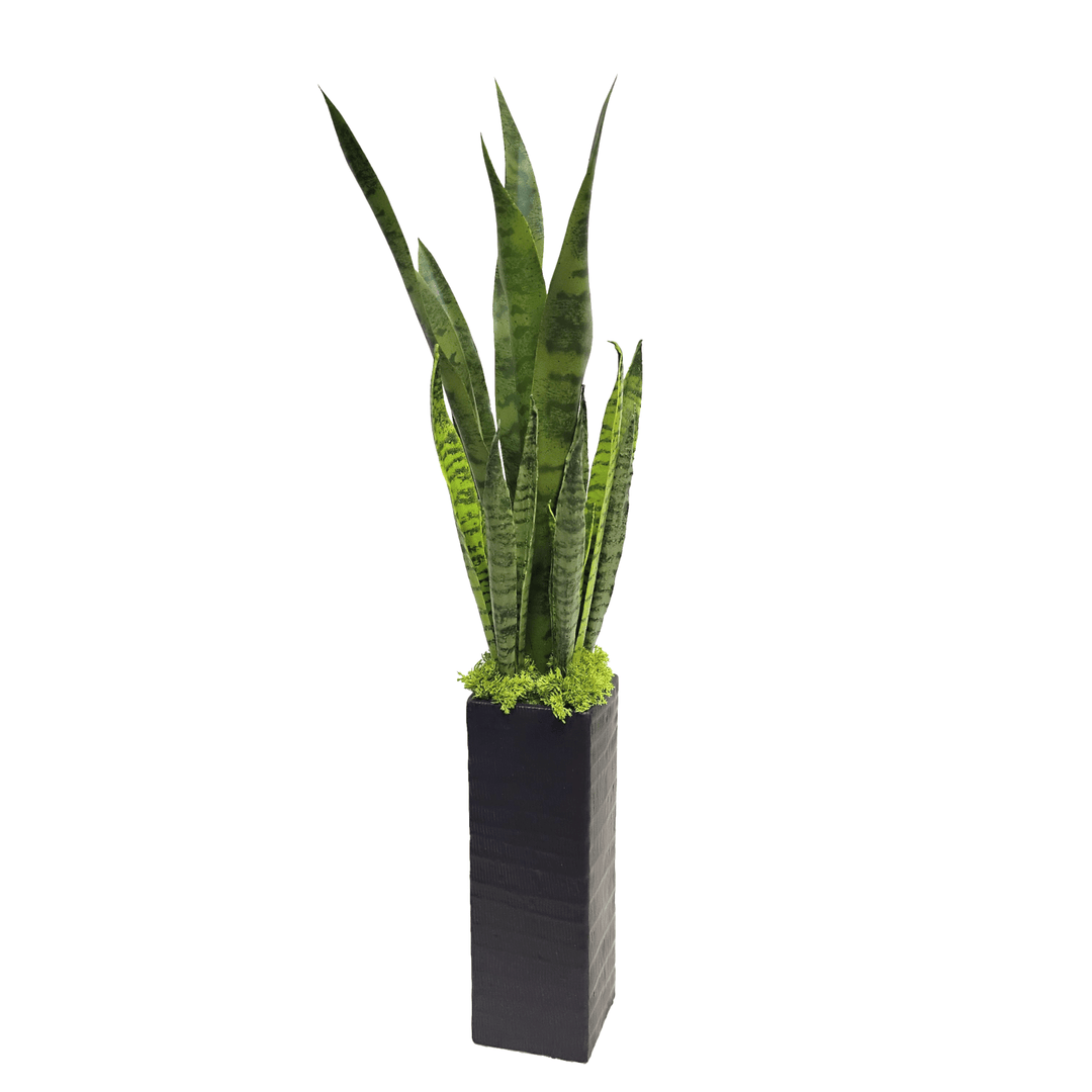 Sansevieria in Textured Ceramic Vase 32"H - LDF Silk