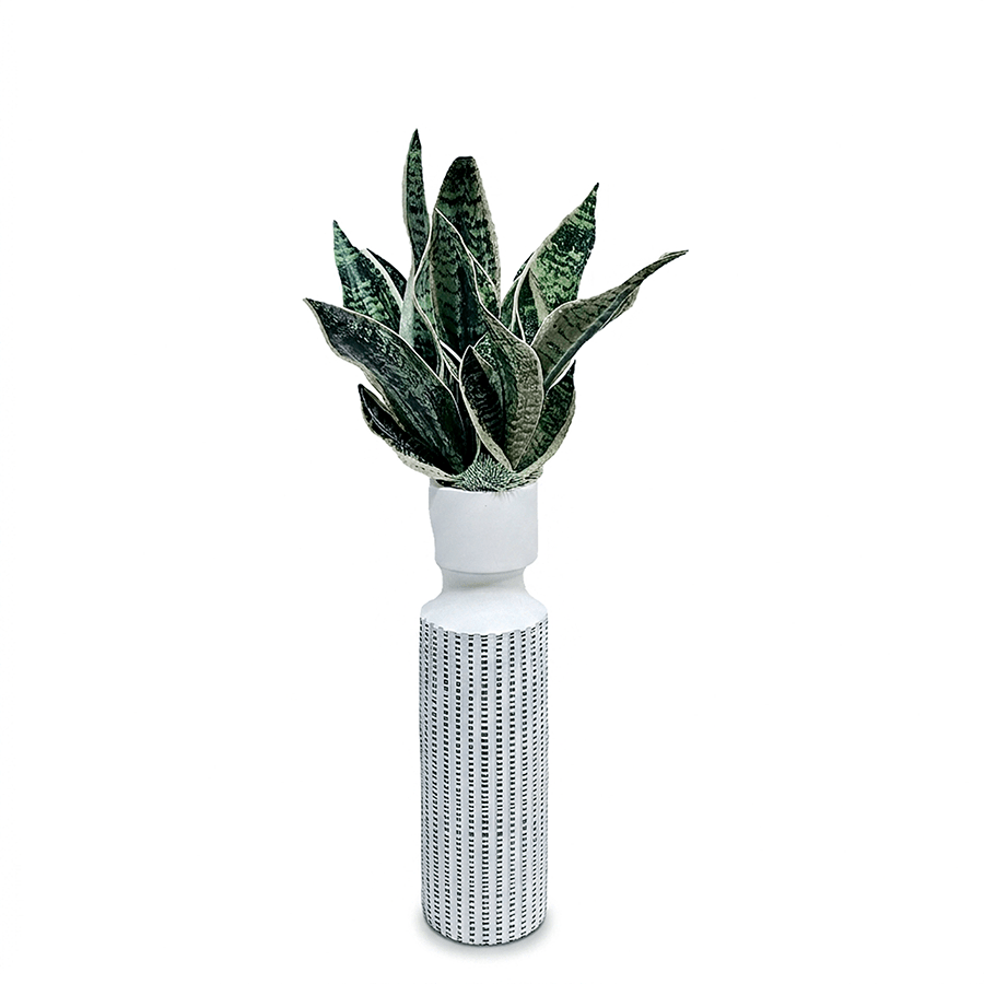 Sansevieria Plant in Textured Vase 30"H x 15"DIA - LDF Silk