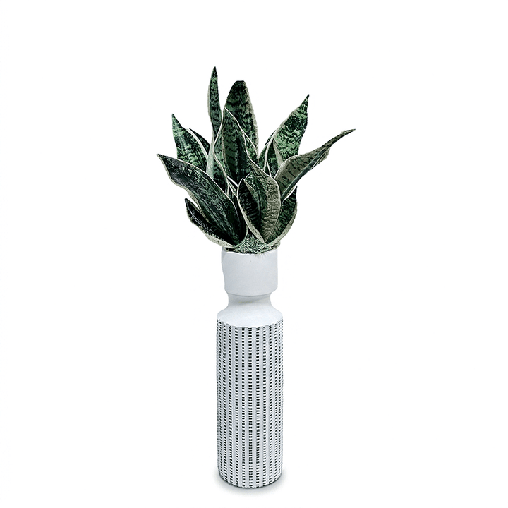 Sansevieria Plant in Textured Vase 30"H x 15"DIA - LDF Silk