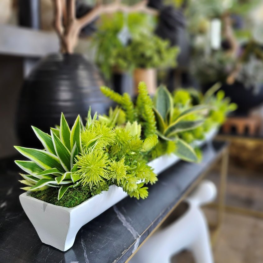 Sansevieria, Thistle and Ghostwood in White Metal Boat 10"H - LDF Silk