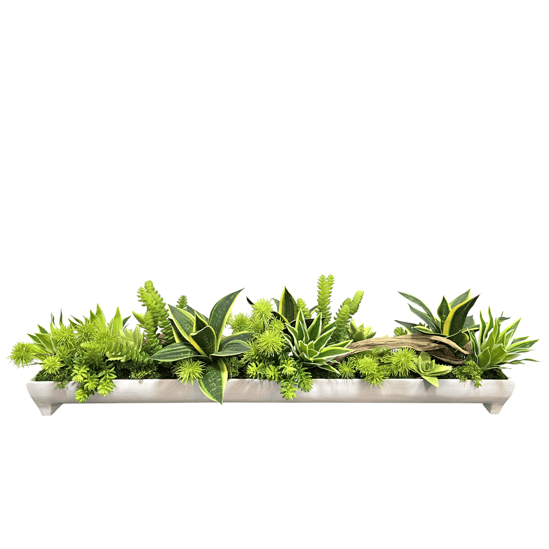 Sansevieria, Thistle and Ghostwood in White Metal Boat 10"H - LDF Silk