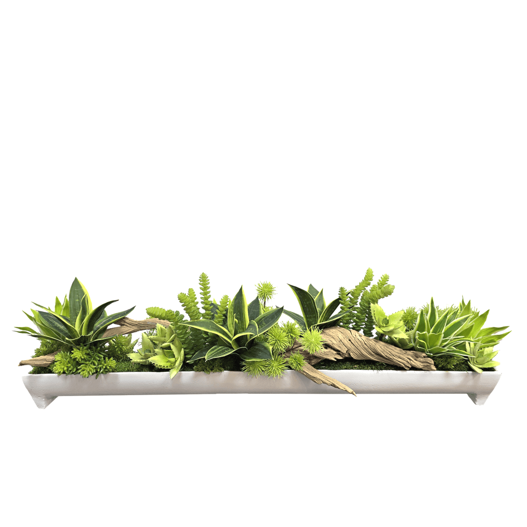 Sansevieria, Thistle and Ghostwood in White Metal Boat 10"H - LDF Silk