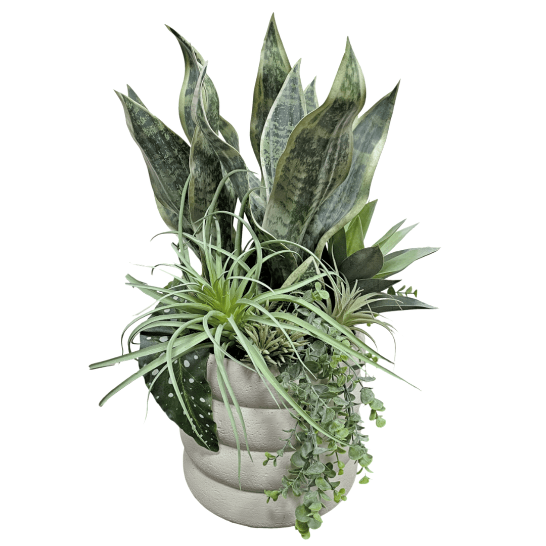 sansevieria hanging Sansevieria, Tillandsia and Hanging Succulents in Layered Ceramic. 24"H