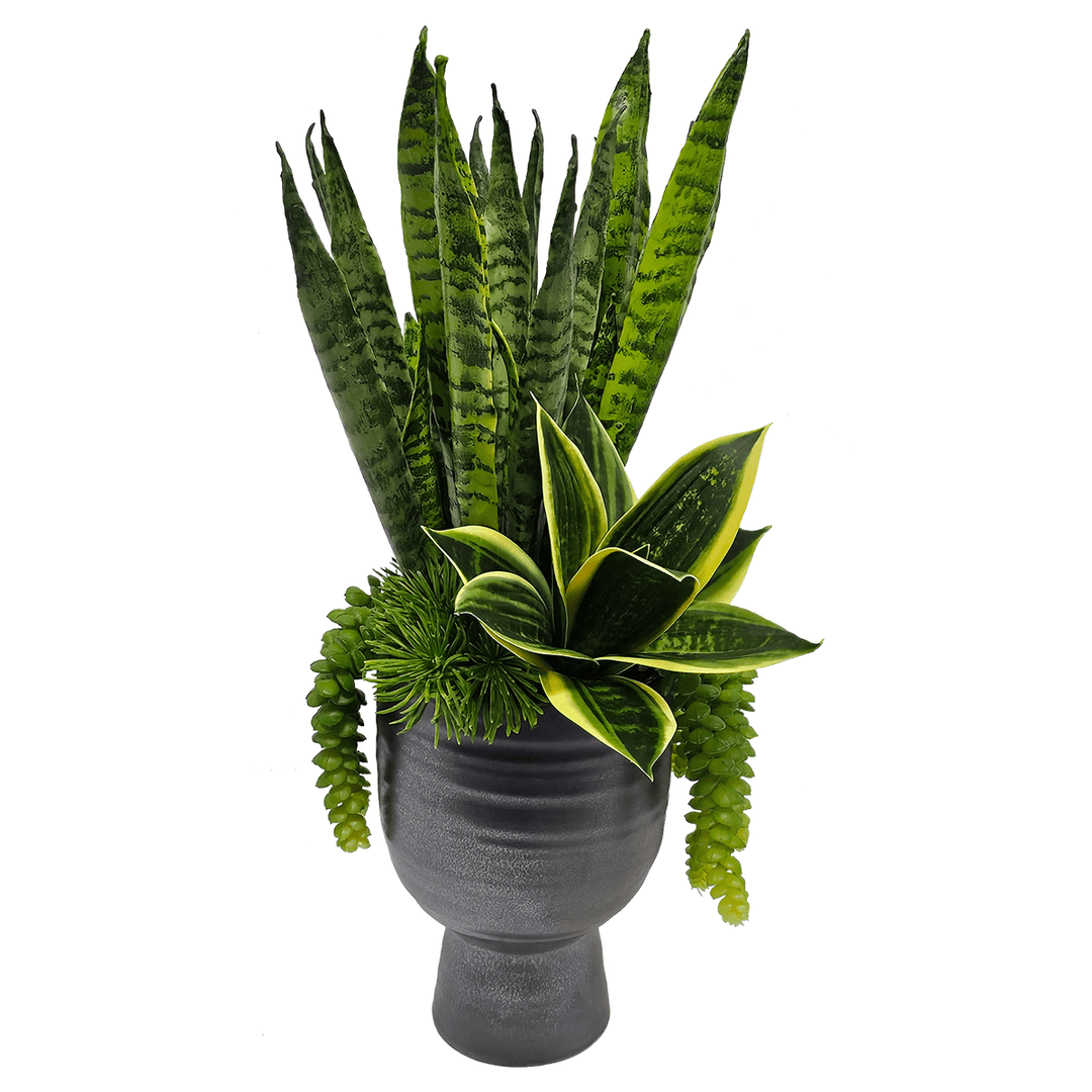 Sansevieria with Hanging Succulents in Gunmetal Ceramic 20"H - LDF Silk