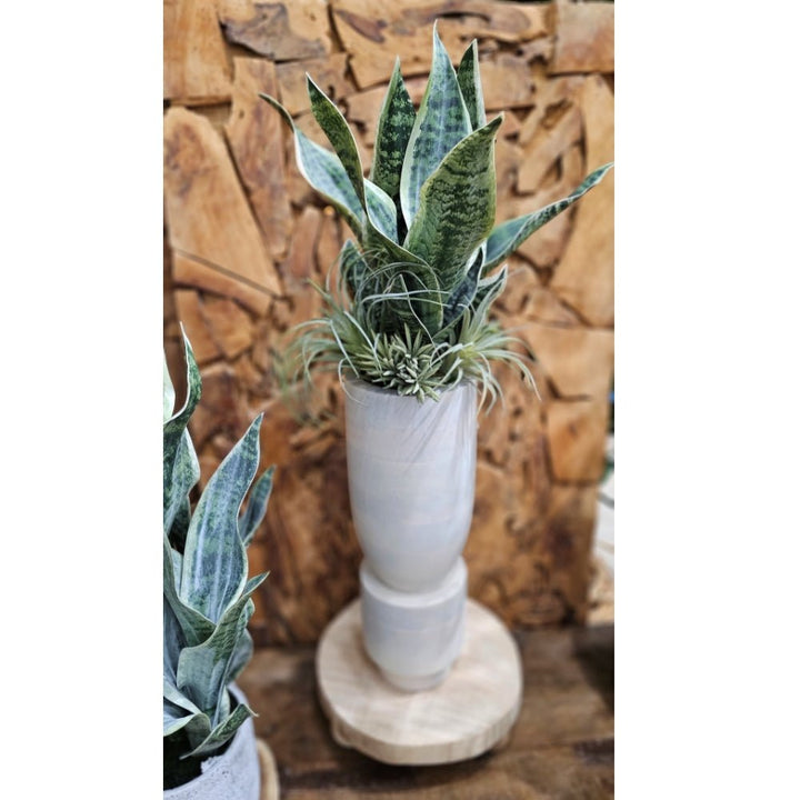 Sansevieria with Tillandsia in Washed Wood Vase. 30"H - LDF SilkArtificial Flora