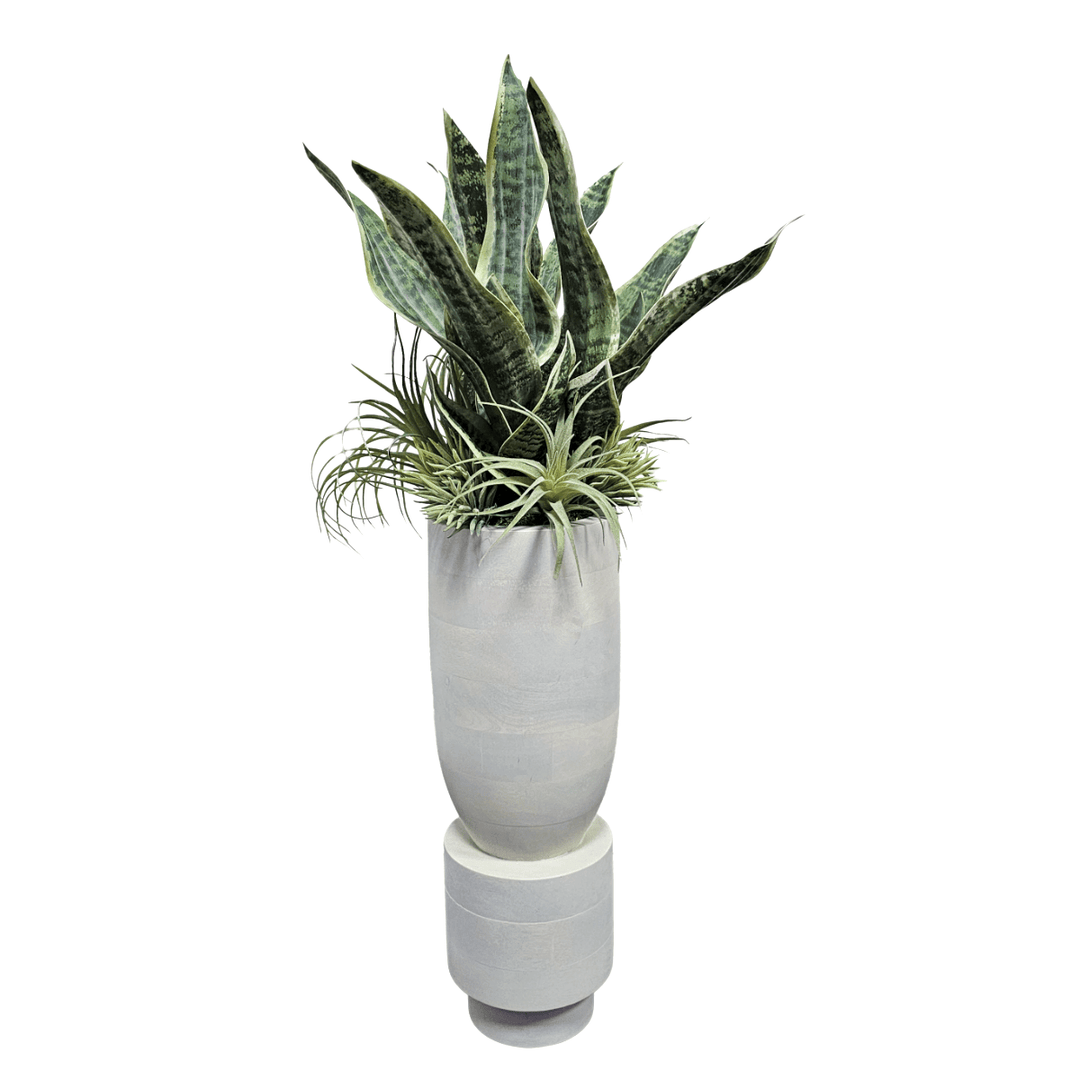 Sansevieria with Tillandsia in Washed Wood Vase. 30"H - LDF SilkArtificial Flora