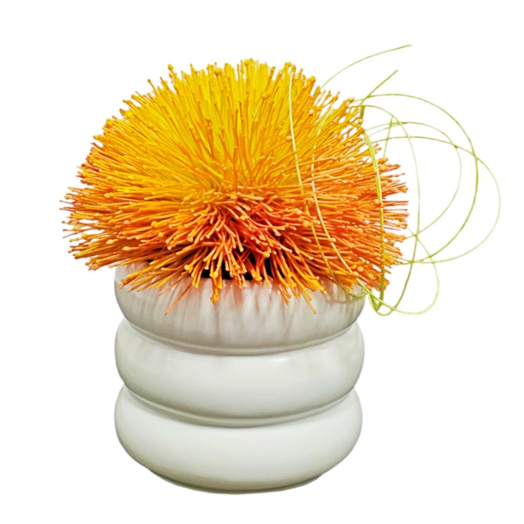 Sea Urchin Flower with Ting in Container FH: 8"H - LDF Silk