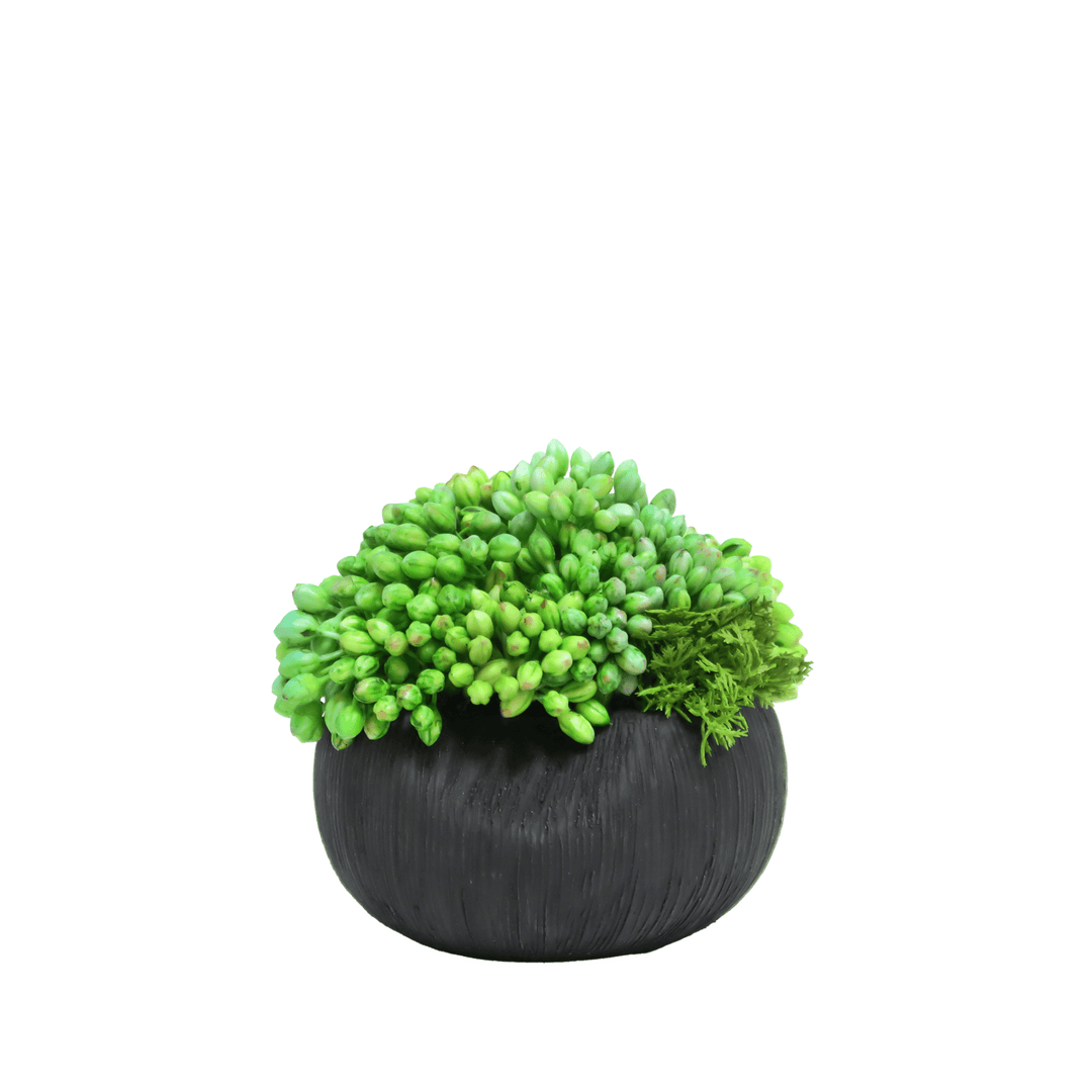 Sedum Cluster in Textured Ceramic 5.5"H - LDF Silk