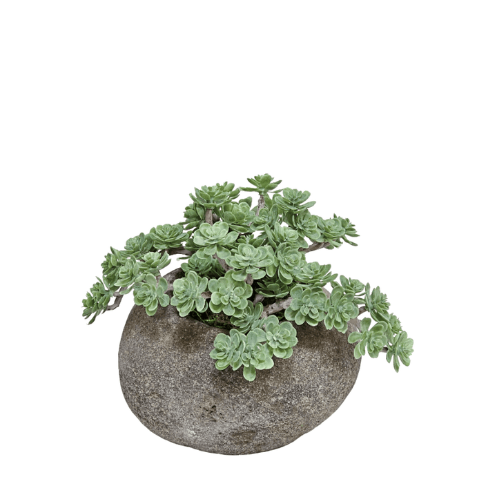 Sedum in Small Rock Pot 6"H - LDF Silk