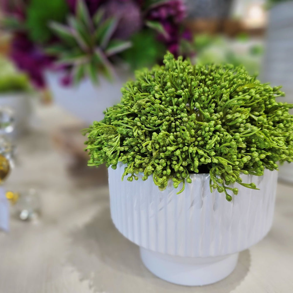Sedum in Textured Round Footed Bowl. FH:9" - LDF SilkArtificial Flora