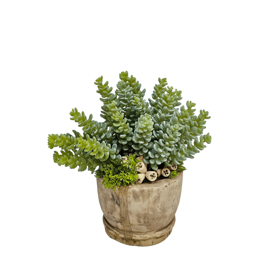 Sedum in Wood Bowl 8.5"H x 9"W x 8"D - LDF Silk