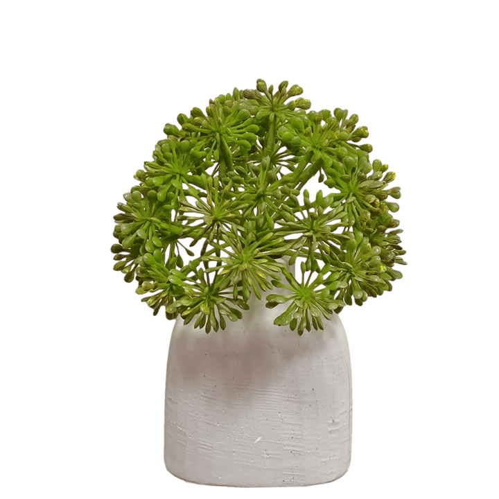 Seeded Allium in Vase Short FH: 8" - LDF Silk