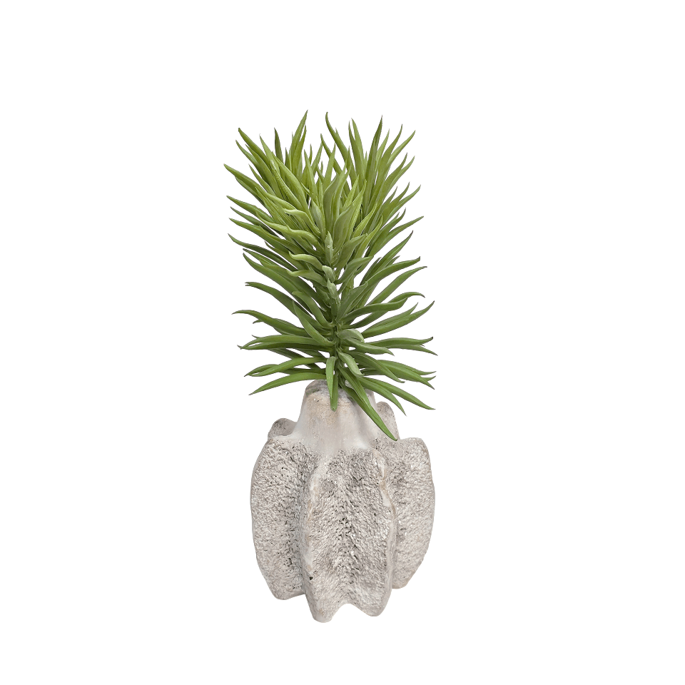 Senecio in Aged Concrete Vase 10"H X 4"DIA - LDF Silk