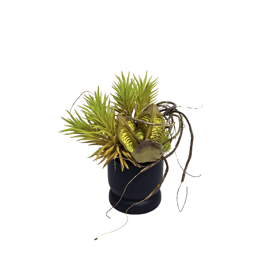 Senecio with Sora Pod and Vine in Ceramic 10"H x 10'W x 9.5"D - LDF Silk