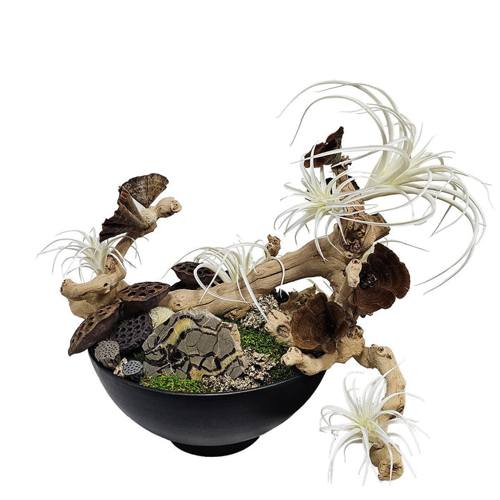 Septarian Specimen, Grapewood, Dried Elements and White Tillandsia in Black Ceramic Bowl 24"H - LDF Silk