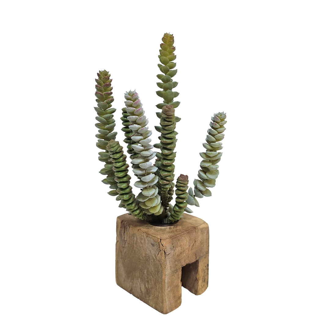 Set of 4: Succulents in Wood Blocks 6" - 10"H - LDF Silk