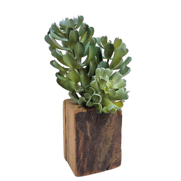 Set of 5: Mixed Succulents in Wood Blocks 5" - 10"H - LDF Silk