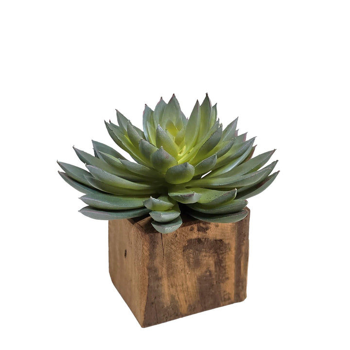Set of 5: Mixed Succulents in Wood Blocks 5" - 10"H - LDF Silk