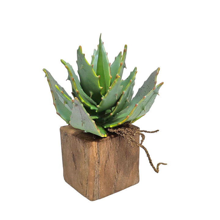 Set of 5: Mixed Succulents in Wood Blocks 5" - 10"H - LDF Silk