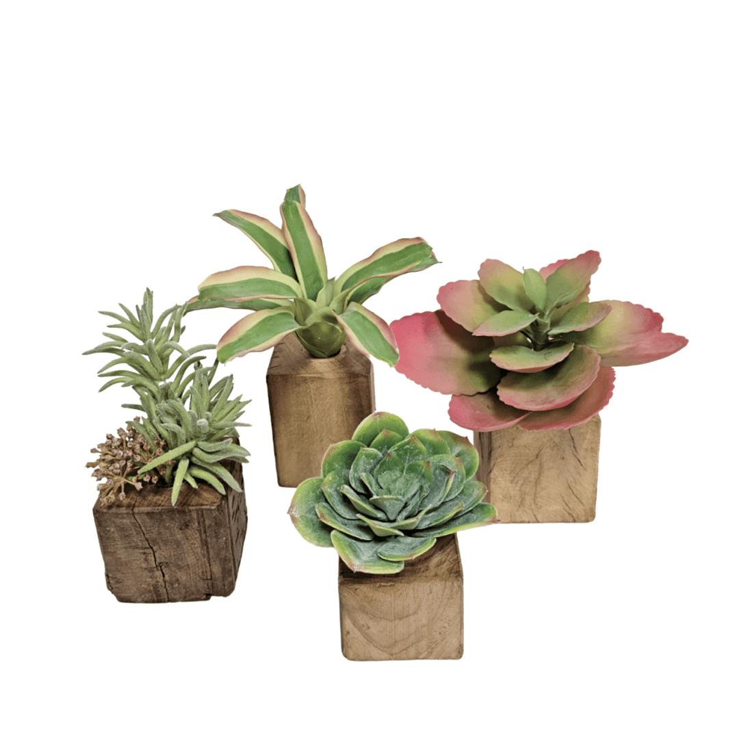 Set of 5: Mixed Succulents in Wood Blocks 5" - 10"H - LDF Silk