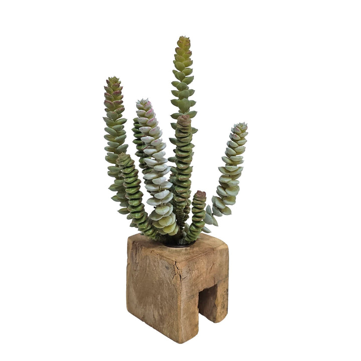 Set of 5: Mixed Succulents in Wood Blocks 5" - 10"H - LDF Silk