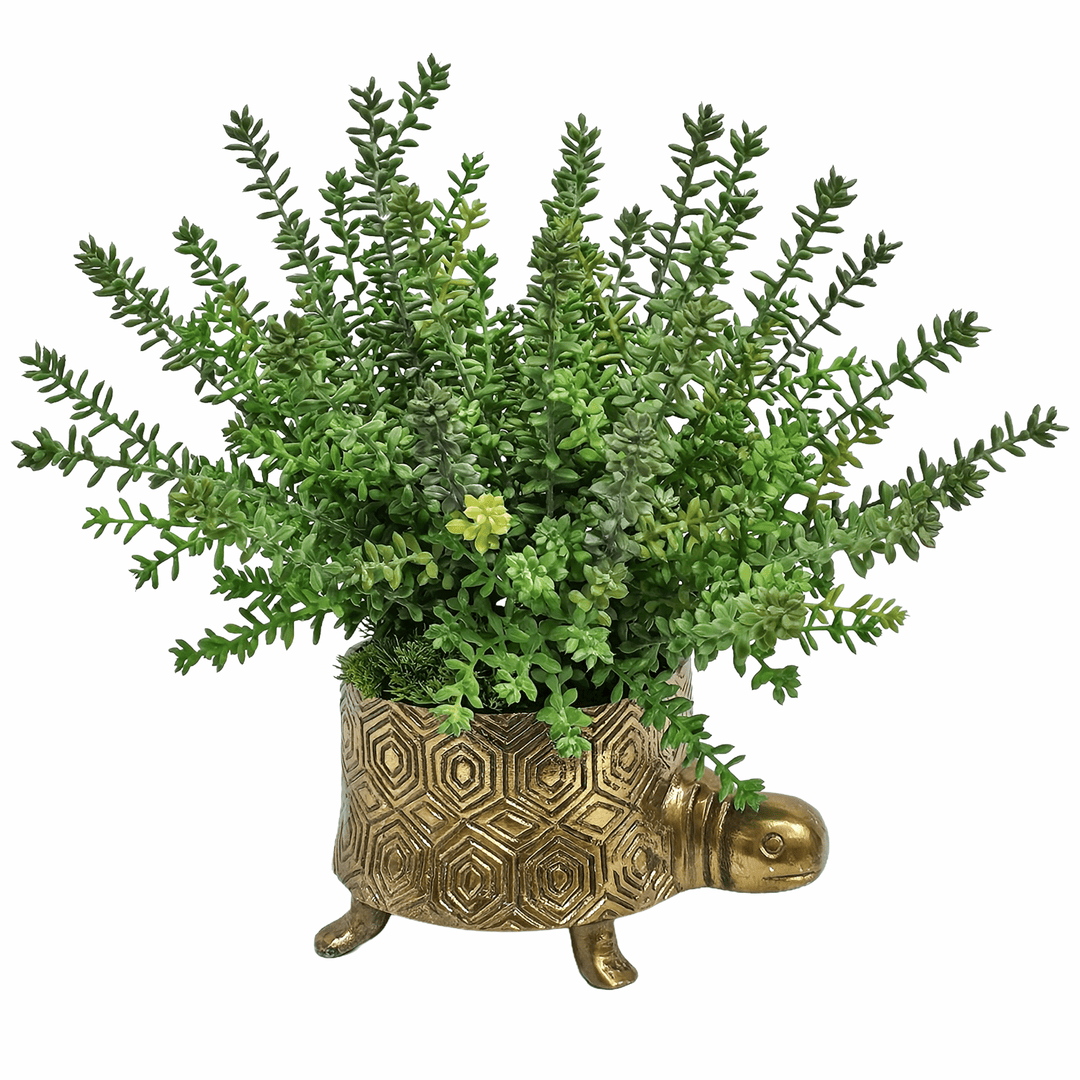 Soft Sedum Bush in Tommie Turtle Pot 8.75"H x 6.5"W x 4.75"D - LDF Silk
