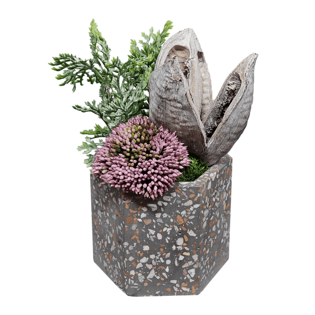 Sora Pod, Allium and Cypress in Container FH: 7" - LDF Silk