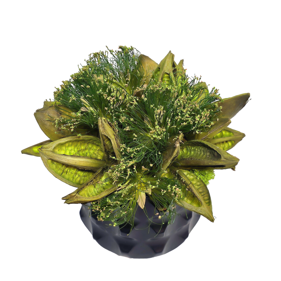 Sora Pods and Cypress Blooms in Textured Ceramic 13"H - LDF Silk