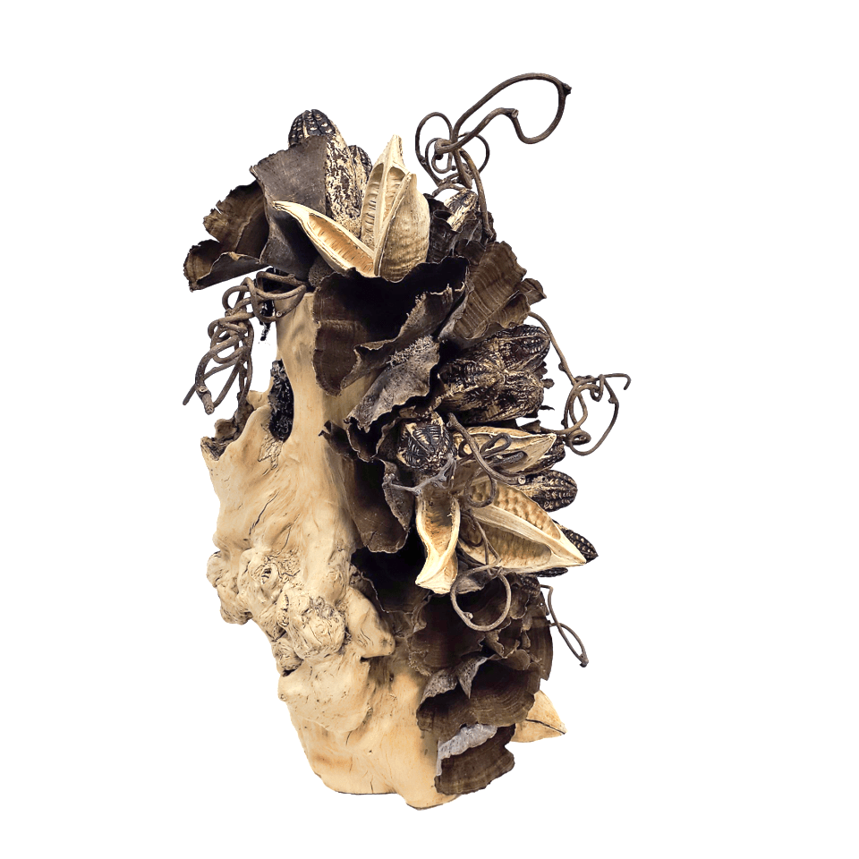 Sora Pods, Calice, Natural Spheres, Mahogany Pods, Kiwi Vine and Thistle in Burled Wood Boat 20.5"H - LDF Silk