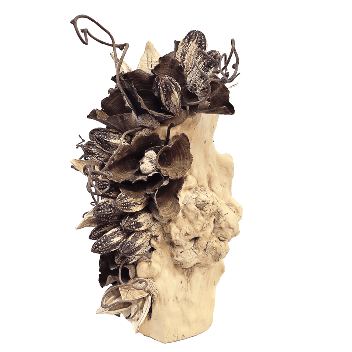 Sora Pods, Calice, Natural Spheres, Mahogany Pods, Kiwi Vine and Thistle in Burled Wood Boat 20.5"H - LDF Silk