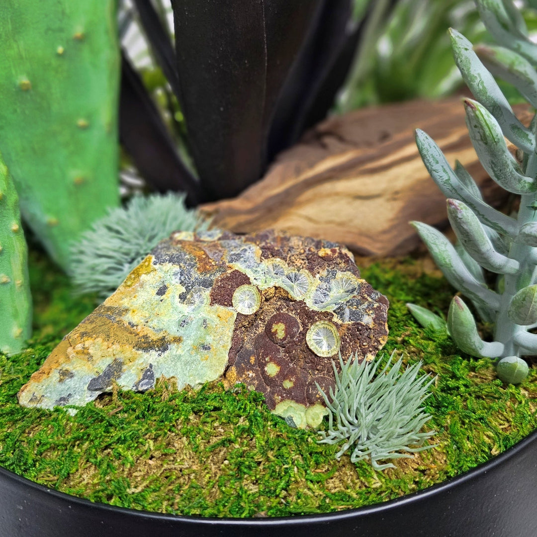 Speciman Wavelite Stone, Eggplant Agave, Pear Cactus with Mixed Succulents in Round Footed Metal Container. FH:30"H - LDF Silk